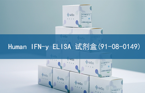 Human IFN-y ELISA 试剂盒(91-08-0149)